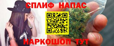 дмт Можайск