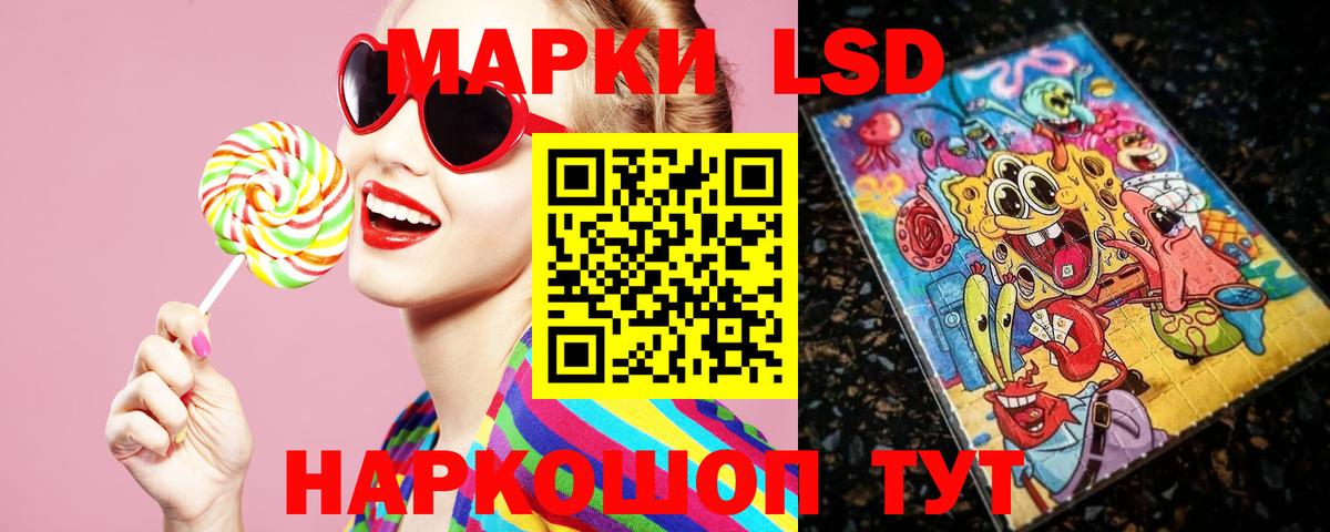 Славгород  Лсд 25 экстази  Вход с VPN  ЛСД экстази кислота  LSD-25 экстази кислота 