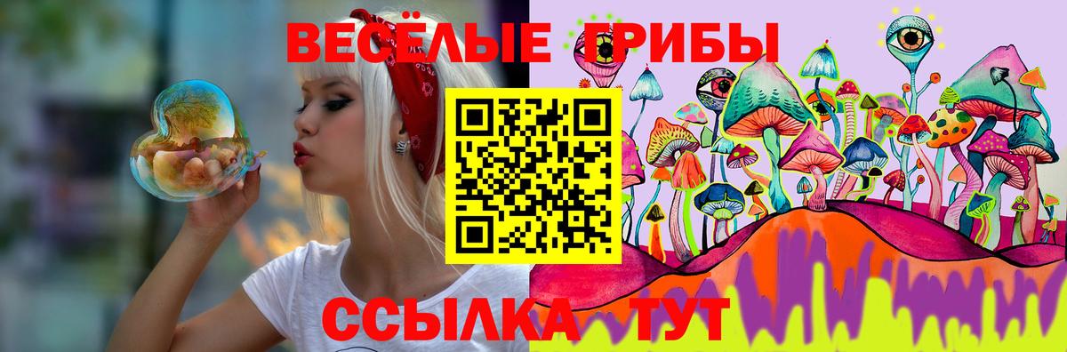 Галлюциногенные грибы GOLDEN TEACHER  Вход с VPN  Славгород 