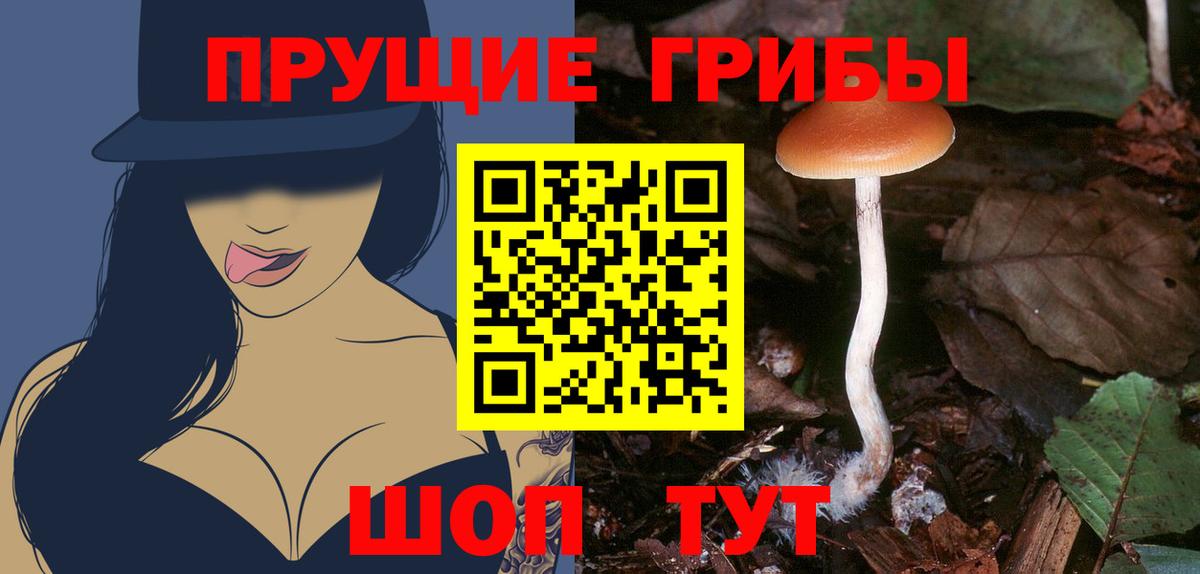 Галлюциногенные грибы Magic Shrooms Славгород